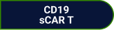 CD19 sCAR T